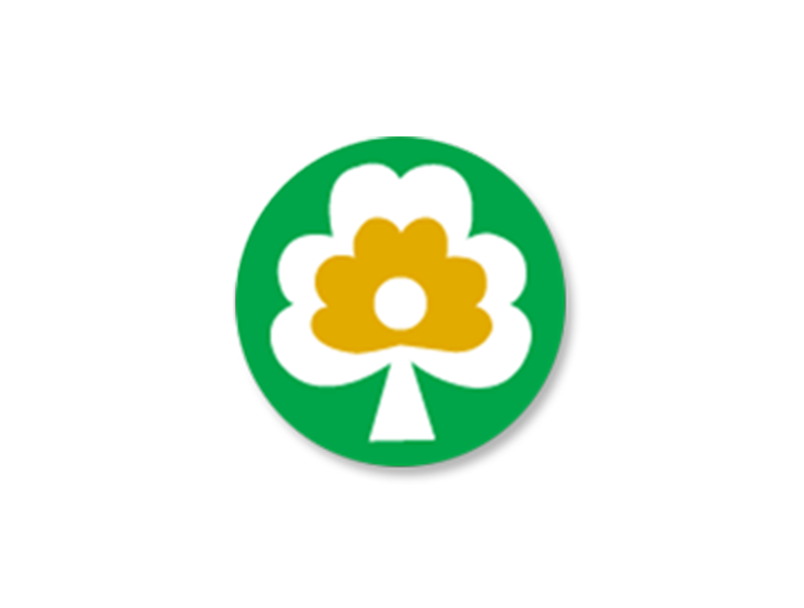 GSP and Friends Foundation, Inc.